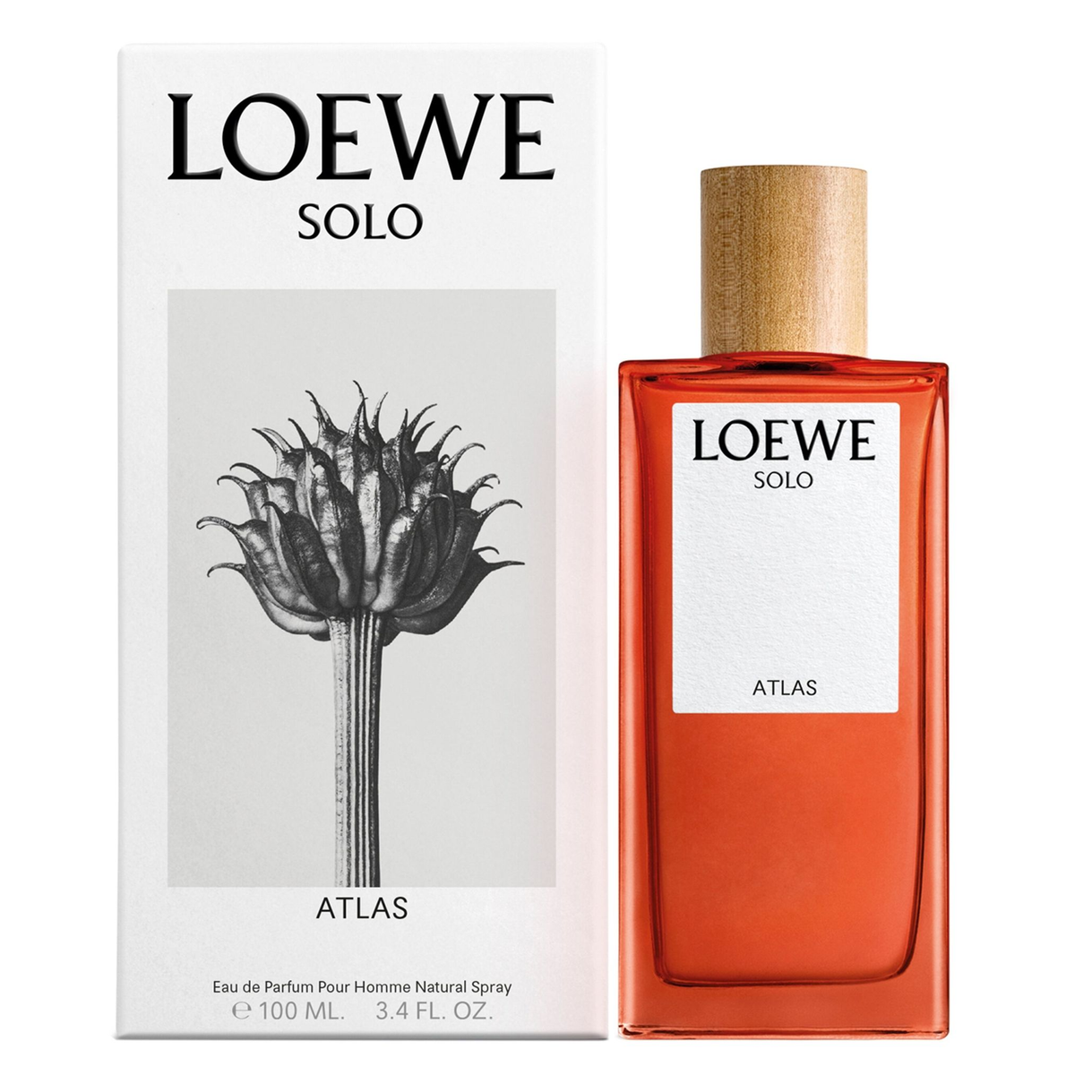 Solo Atlas by Loewe 100ml EDP for Men - Perfume NZ is the leading wholesale distributor of brand name perfumes and fragrances in New Zealand.